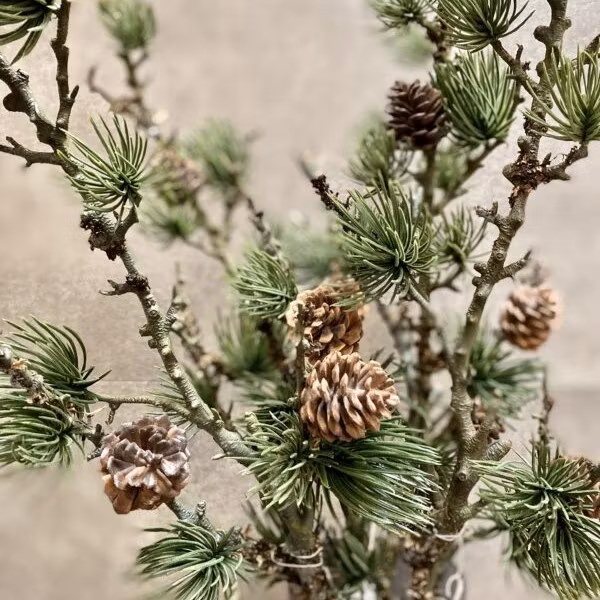 Blomster jul - Milto-living