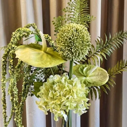Hortensia - Milto-living