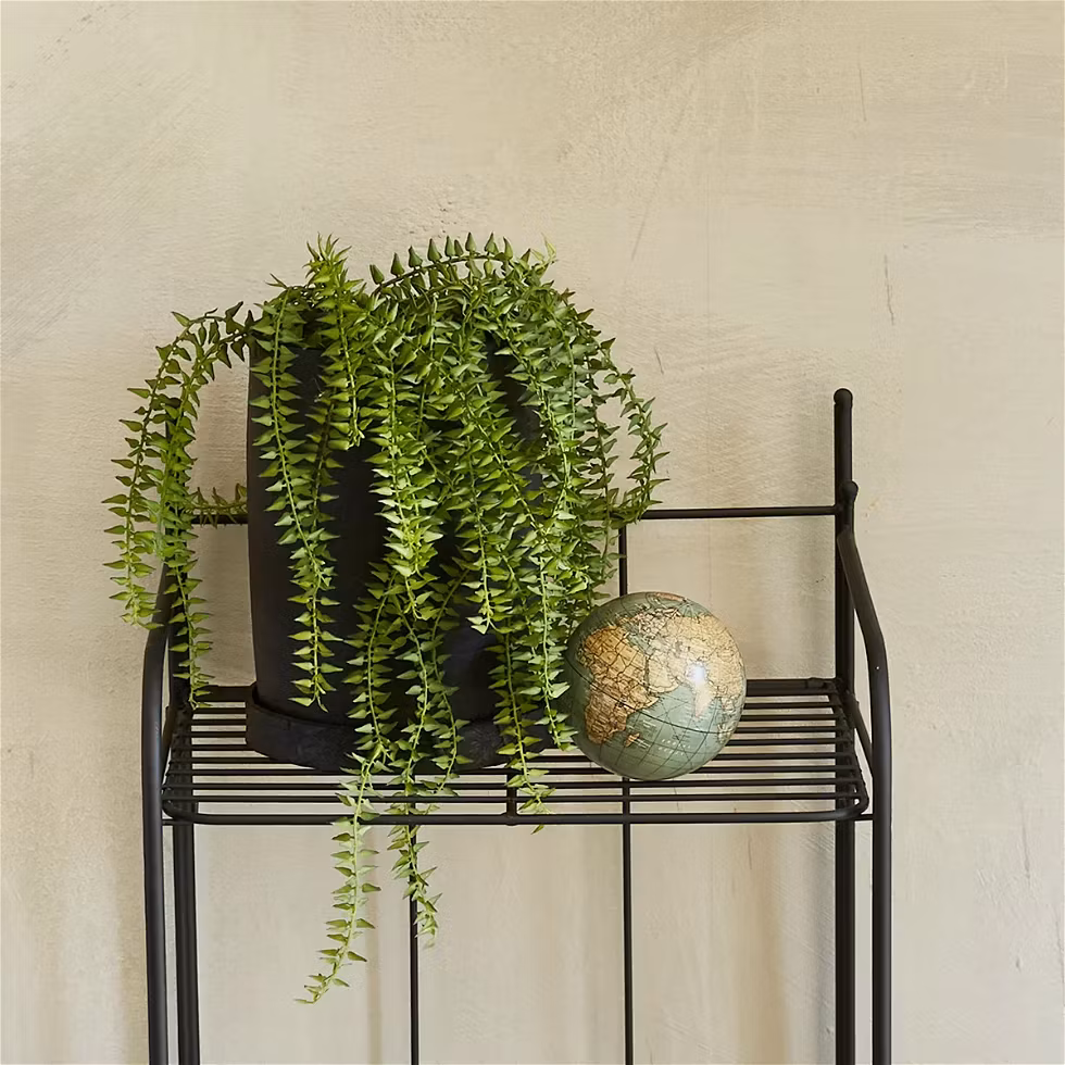 Milto-living > Potteplanter & Planter