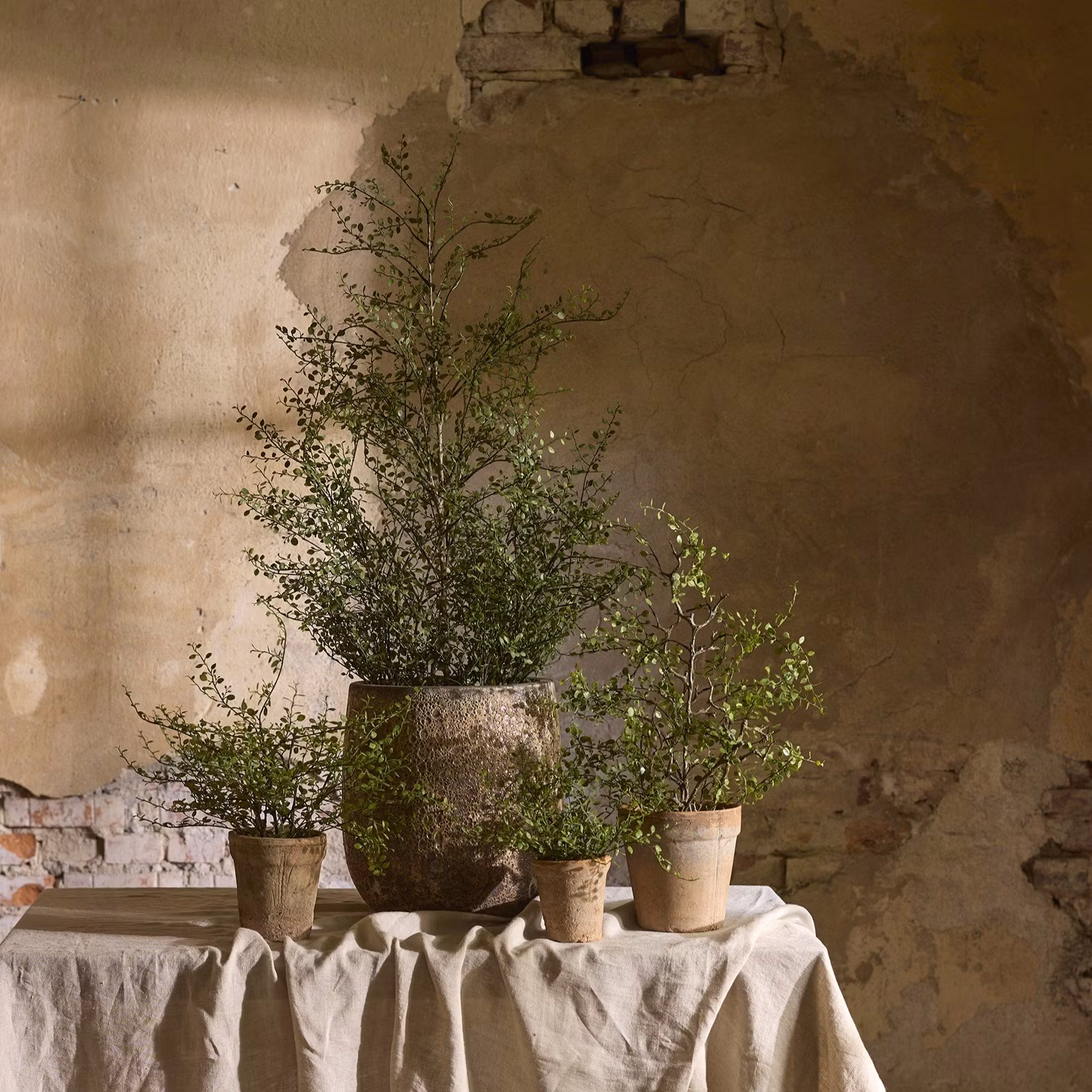 Potteplanter & Planter - Milto-living