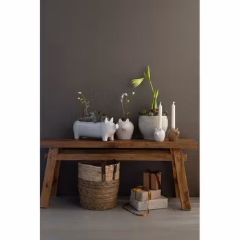Kim plantekrukke gris