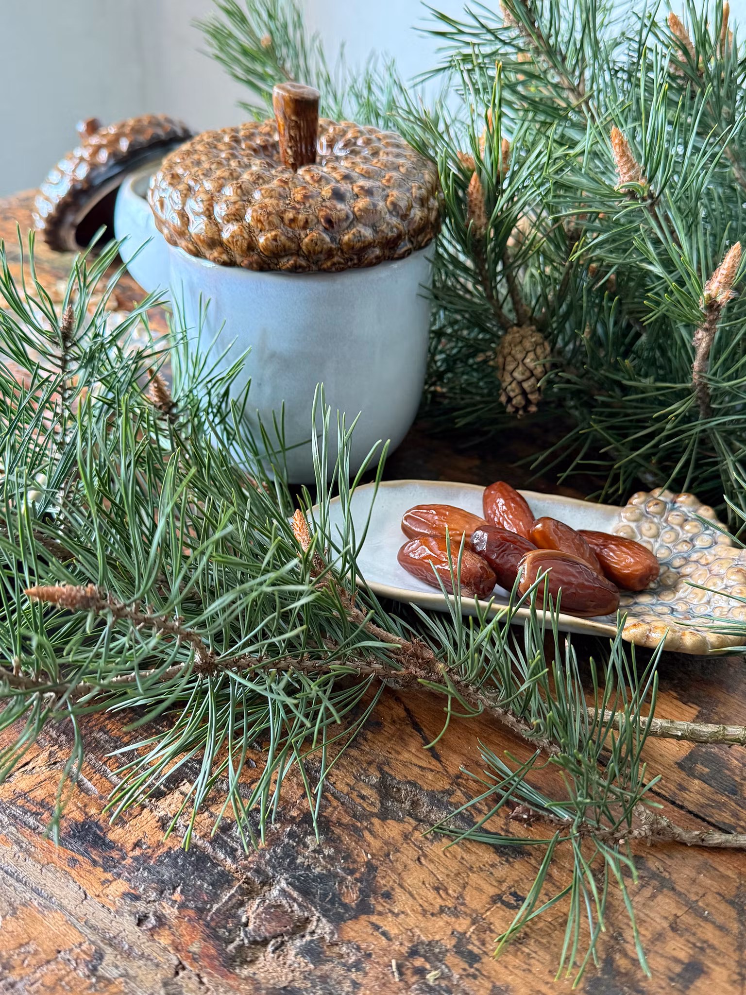 Agern Skål m/låg