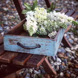 Dencia Bakke Sjælsø