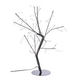 Bonsai lystræ