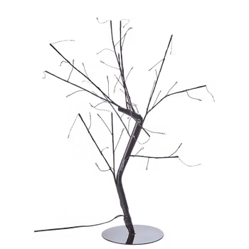 Bonsai lystræ