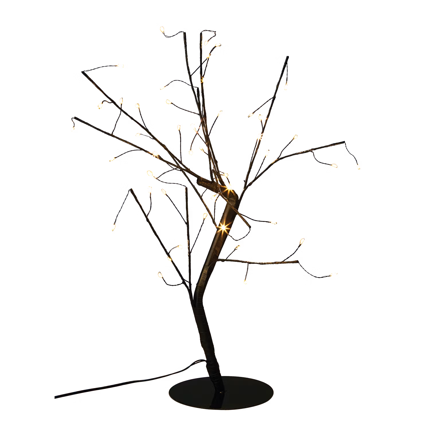 Bonsai lystræ