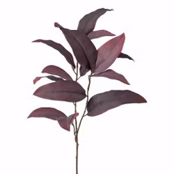Eukalyptus blade bordeaux