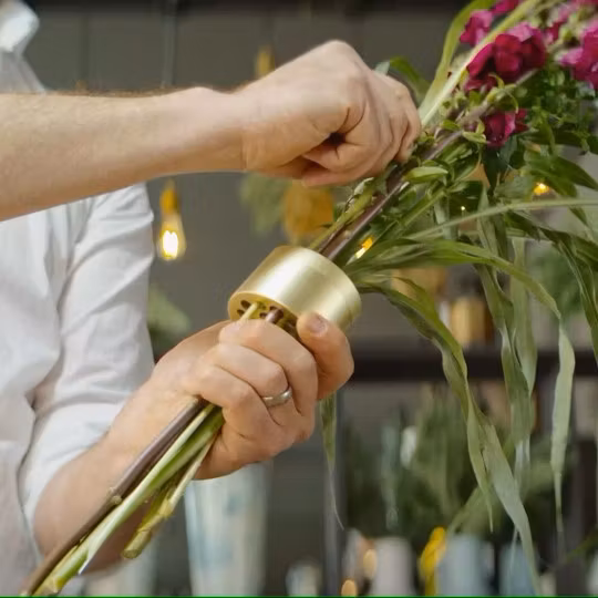 Hanataba guld champagne