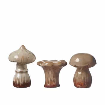 Dekorations svampe