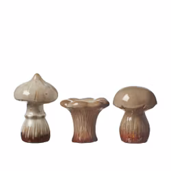 Dekorations svampe