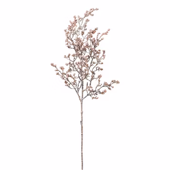 Bærgren Mauve
