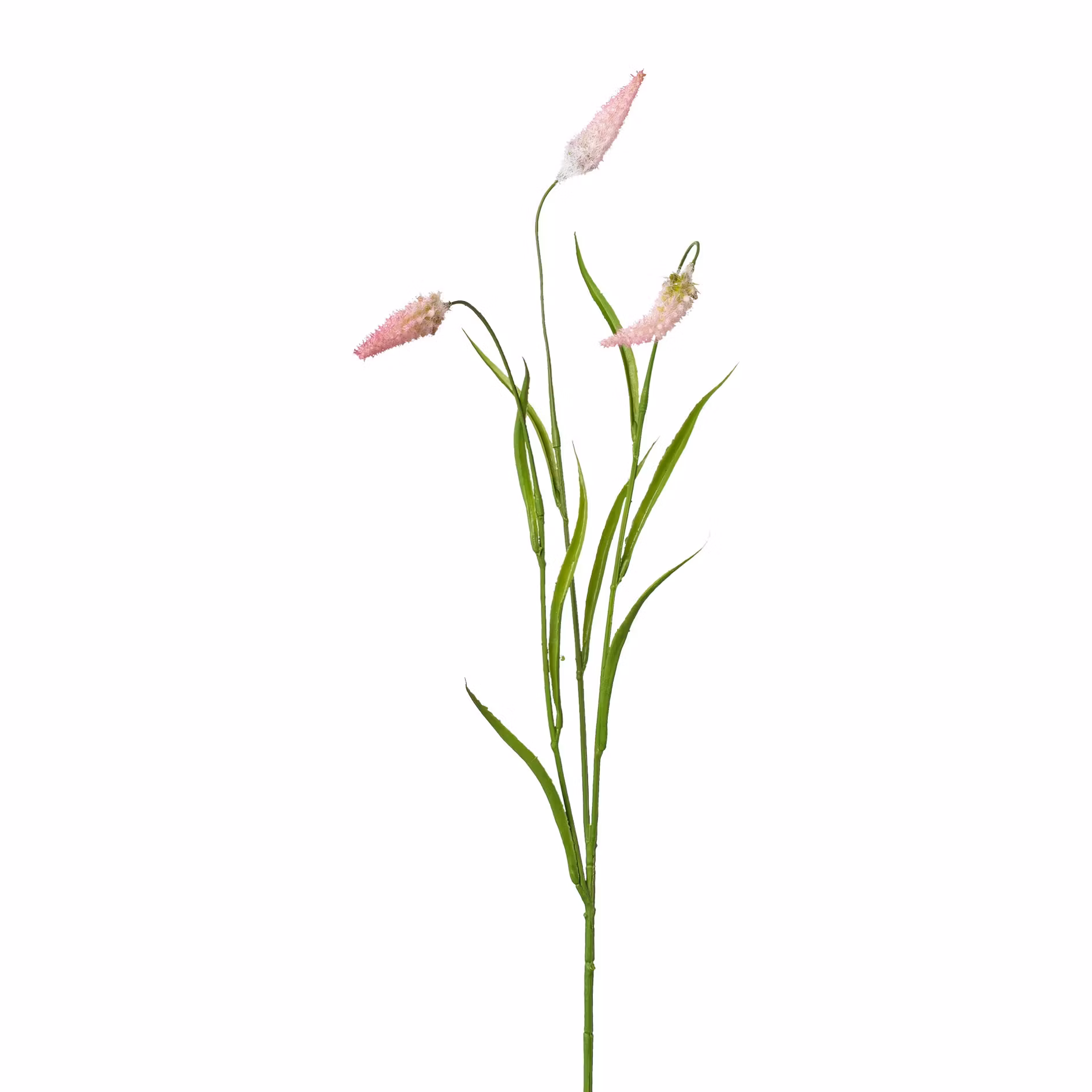 Græs m/rosa