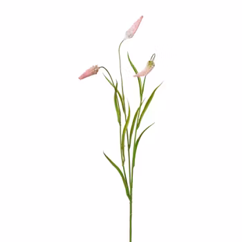 Græs m/rosa