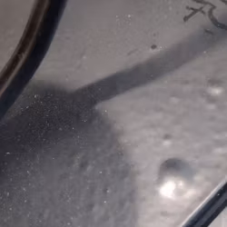 Cirkler med glas fluge