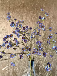 KIRSEBÆRGREN m/blomst