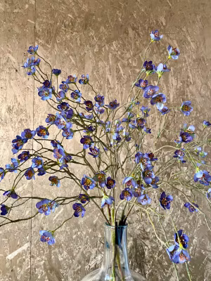 KIRSEBÆRGREN m/blomst