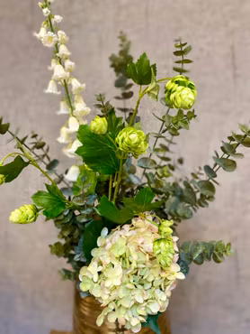 Hortensia grøn/lysrosa