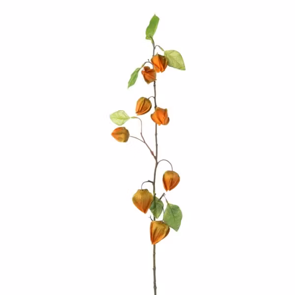 Japansk lygte orange