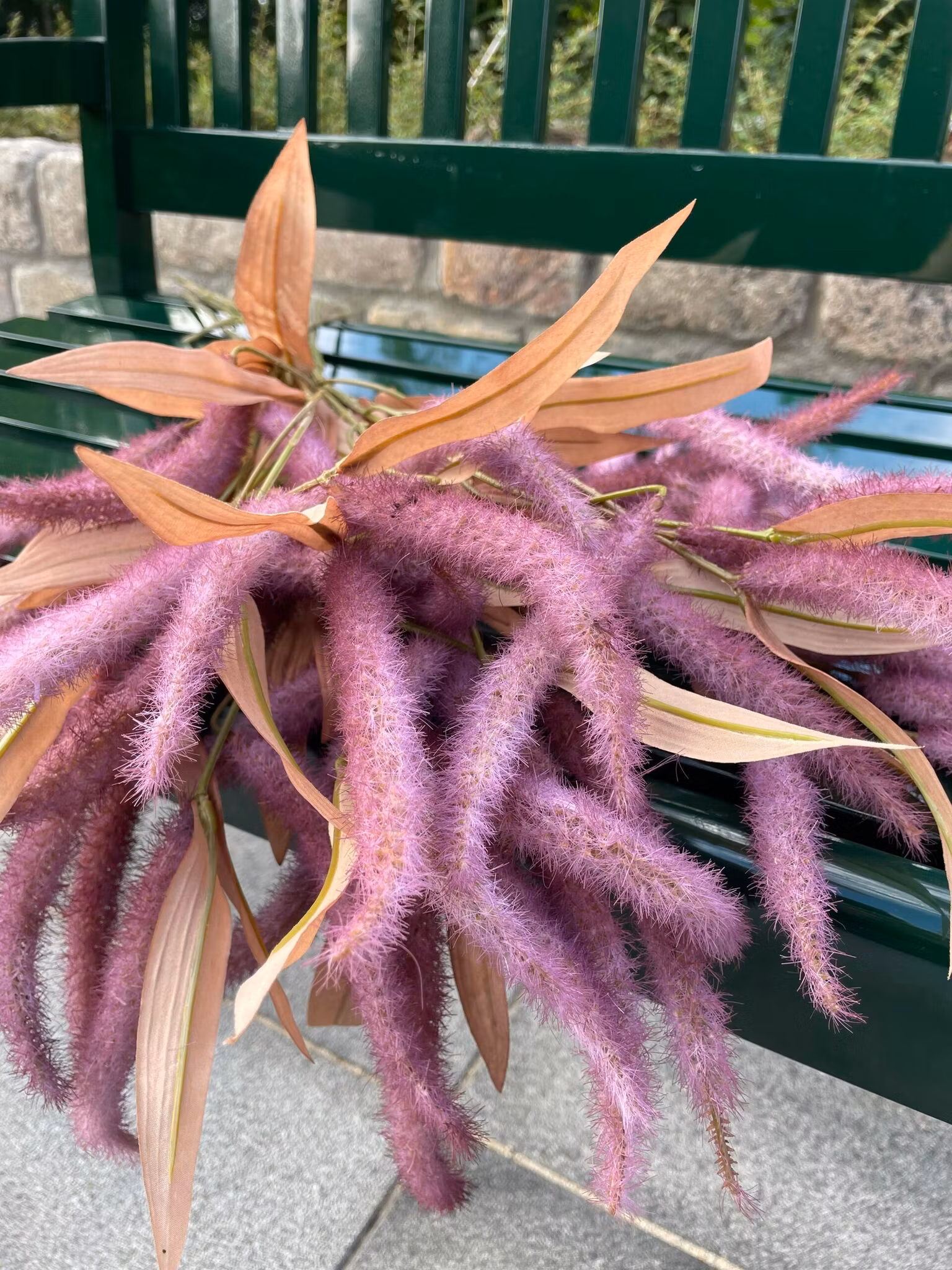 Amaranthus lilla