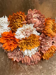 Chrysanthemum orange