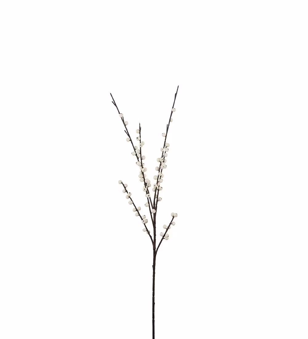 Snebær gren