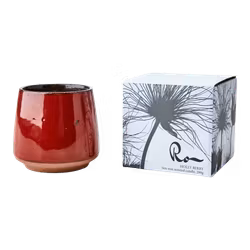 Duftlys Holly Berry, rød