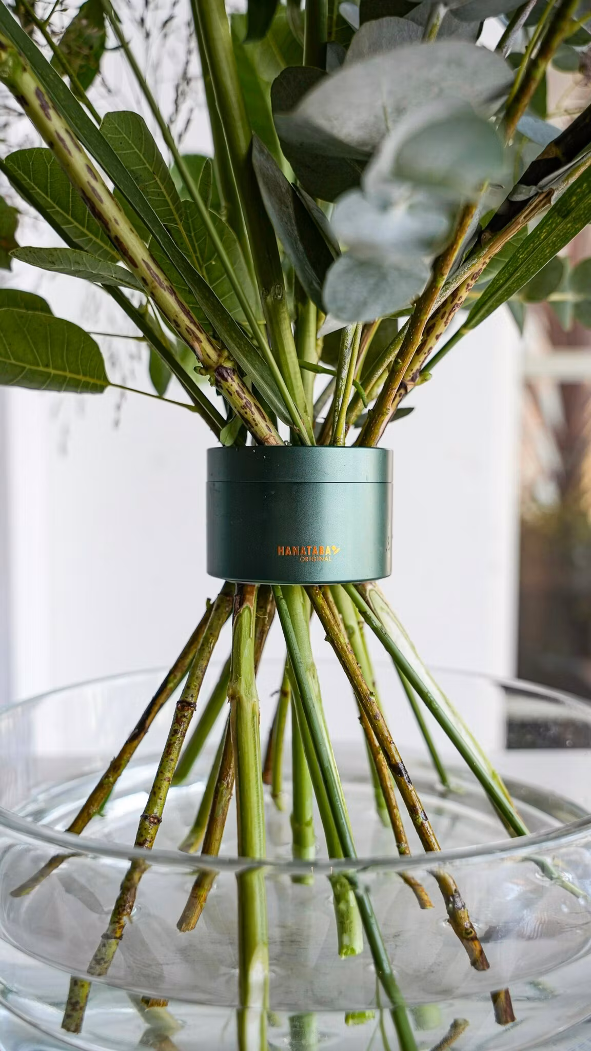 Hanataba Ivy Green