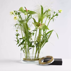 Blomsterfakir / Kenzan "The Ring" 120 mm