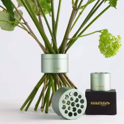 Hanataba Matcha Green