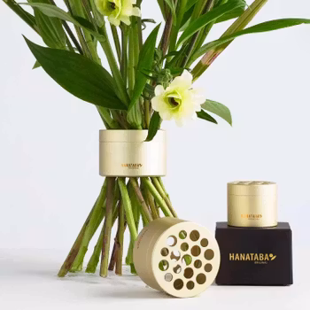 Hanataba guld champagne