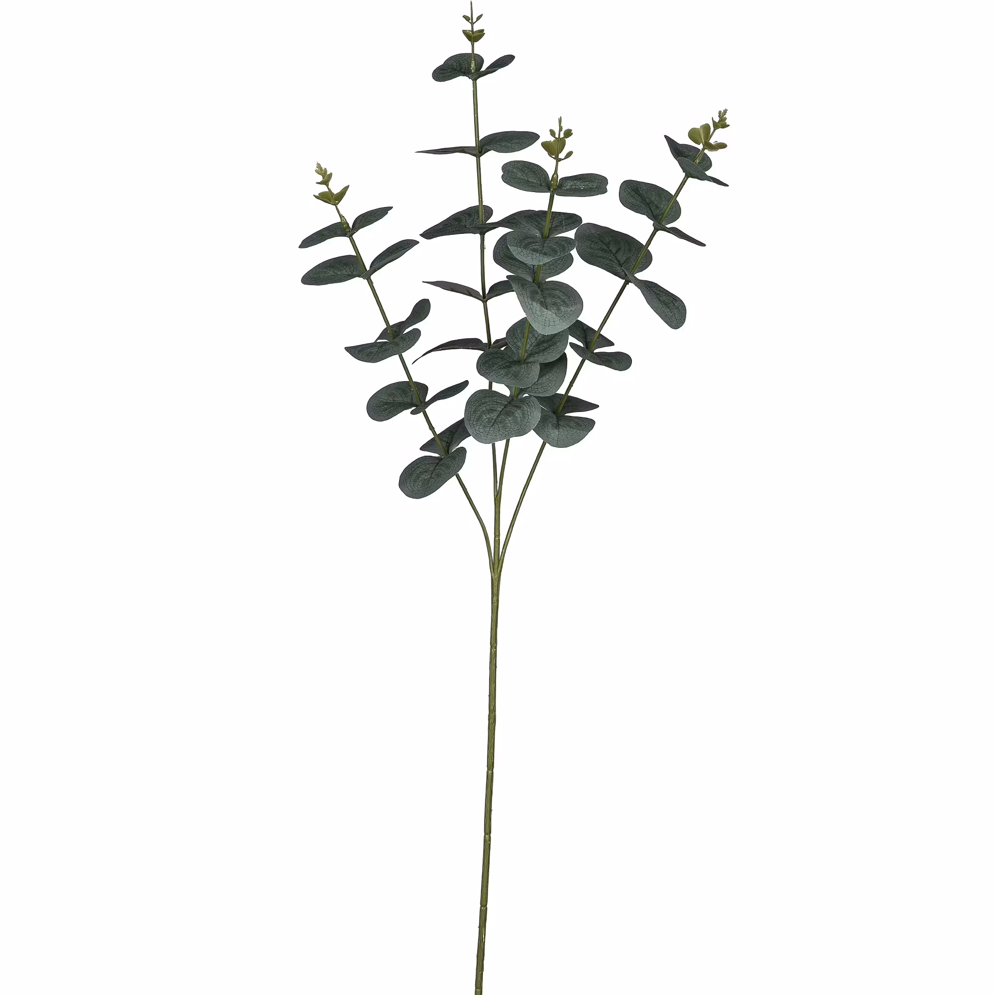 Eukalyptus buket