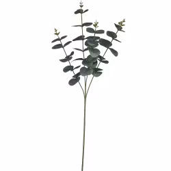 Eukalyptus buket