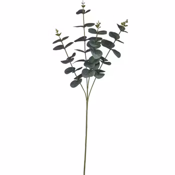 Eukalyptus buket