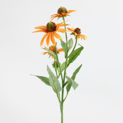 Solhat Orange