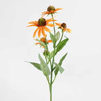 Solhat Orange