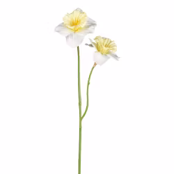 Påskelilje creme