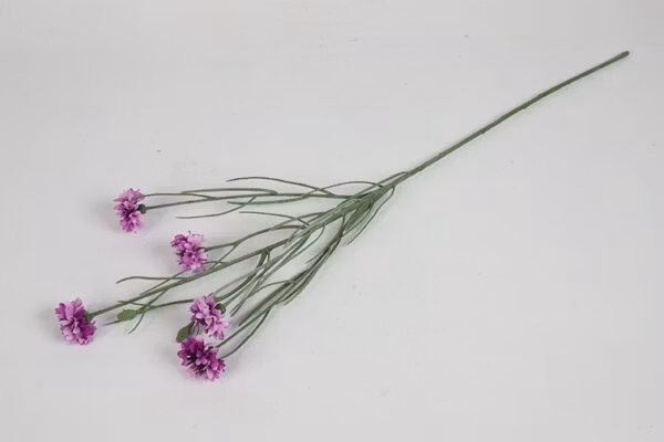 Kornblomst lyslilla