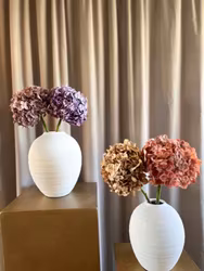 Hortensia lilla