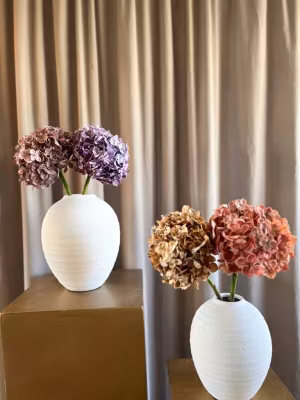 Hortensia lilla