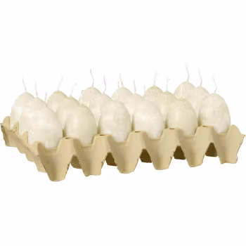 Æggelys paraffin