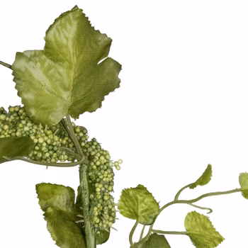 Amaranthus grøn