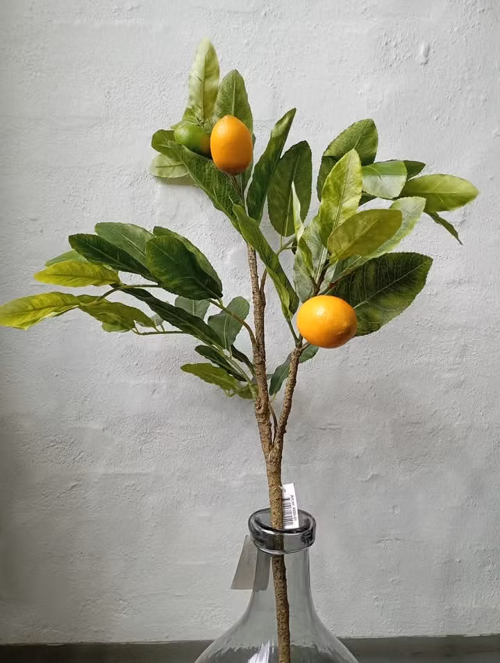 Stor citron gren