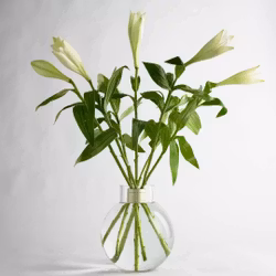 Hanataba Boble Vase