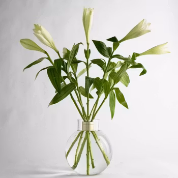 Hanataba Boble Vase
