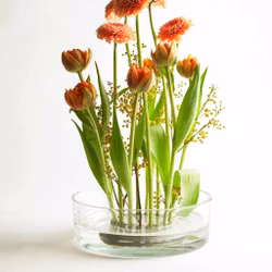 Shallow Glass Cylinder Vase