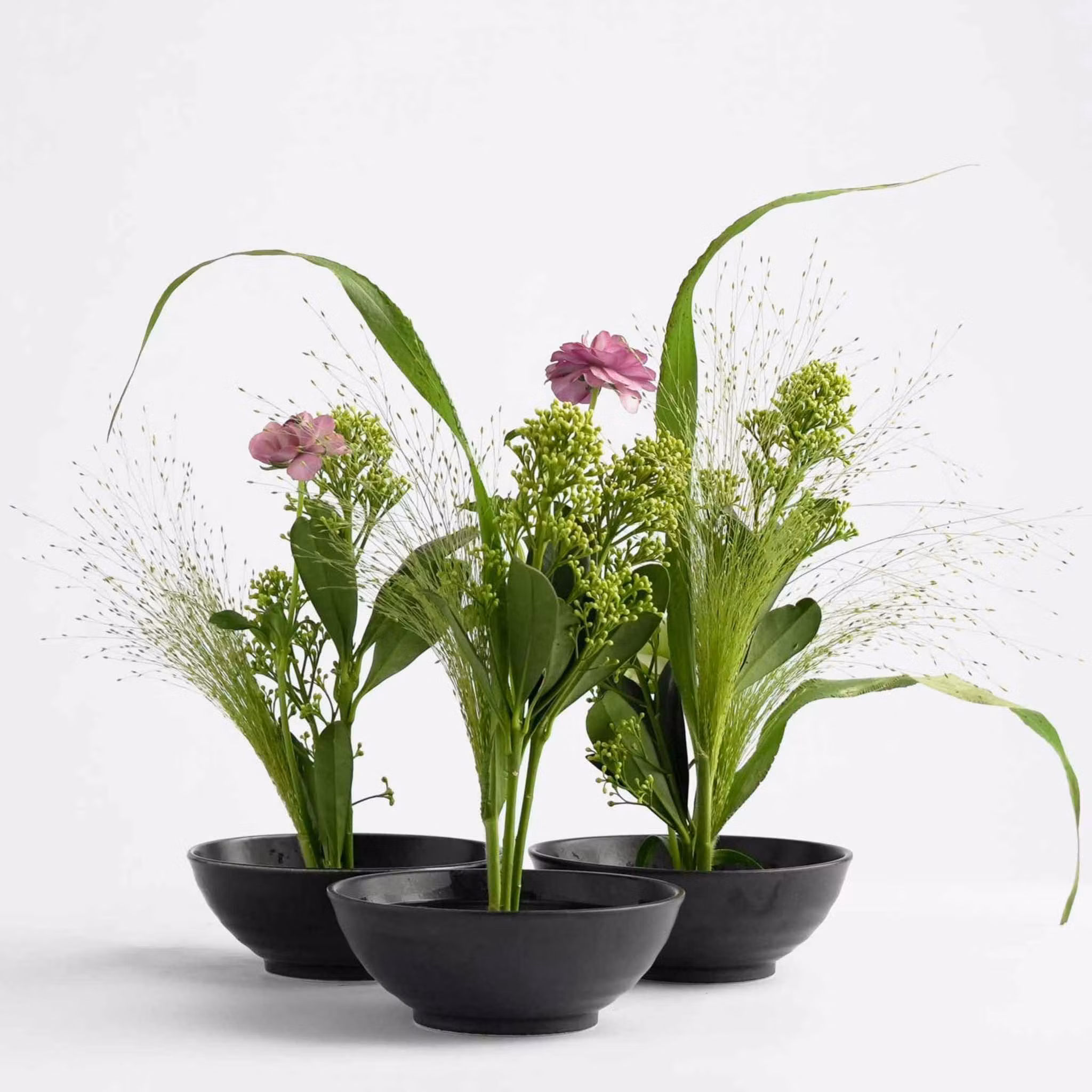 Hanataba Blomster Fakir, Kenzan