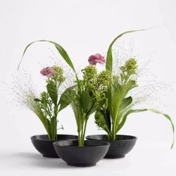 Hanataba Blomster Fakir, Kenzan