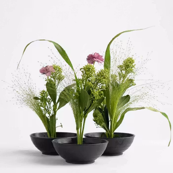 Hanataba Blomster Fakir, Kenzan