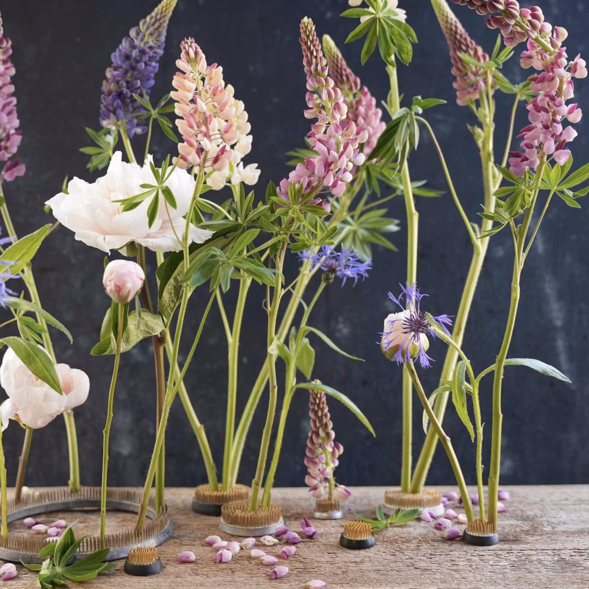 Hanataba Blomster Fakir, Kenzan
