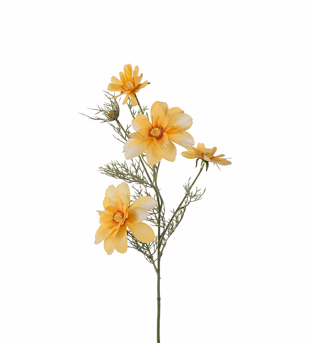 Hybenrose Sart gul